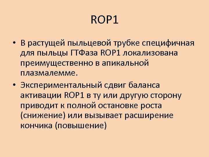 ROP 1 • В растущей пыльцевой трубке специфичная для пыльцы ГТФаза ROP 1 локализована