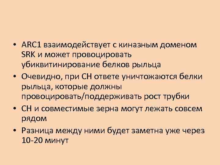  • ARC 1 взаимодействует с киназным доменом SRK и может провоцировать убиквитинирование белков