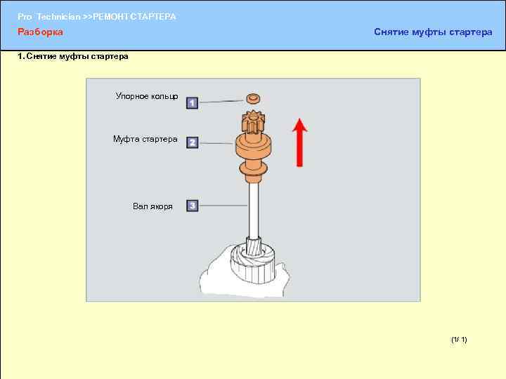 Pro Technician >>РЕМОНТ СТАРТЕРА Разборка Снятие муфты стартера 1. Снятие муфты стартера Упорное кольцо