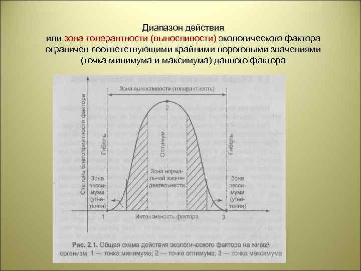 Диапазон действия или зона толерантности (выносливости) экологического фактора ограничен соответствующими крайними пороговыми значениями (точка