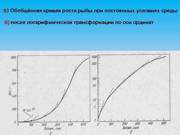 а) Обобщённая кривая роста рыбы при постоянных условиях среды б) после логарифмической трансформации по