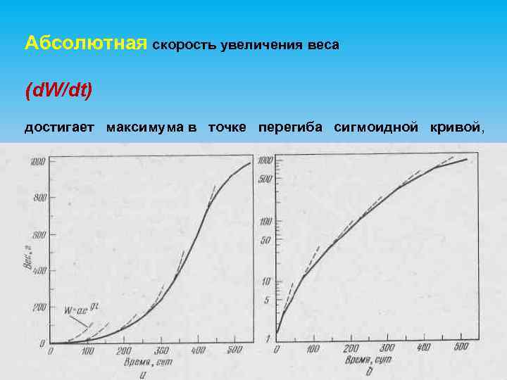 Абсолютная скорость увеличения веса (d. W/dt) достигает максимума в точке перегиба сигмоидной кривой, 