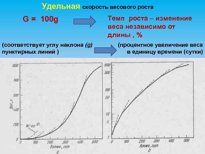 Удельная скорость весового роста G = 100 g (соответствует углу наклона (g) пунктирных линий