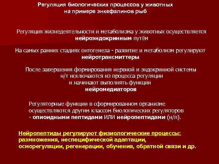 Регуляция биологических процессов у животных на примере энкефалинов рыб Регуляция жизнедеятельности и метаболизма у