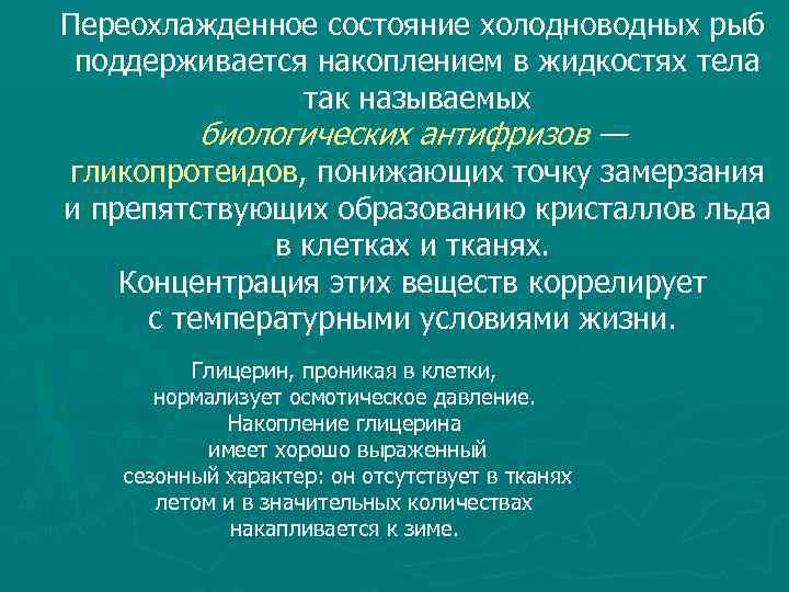 Переохлажденное состояние холодноводных рыб поддерживается накоплением в жидкостях тела так называемых биологических антифризов —