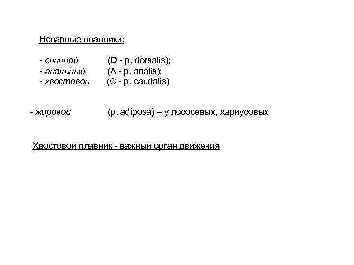 Непарные плавники: - спинной (D - p. dorsalis); - анальный (А - р. аnalis);