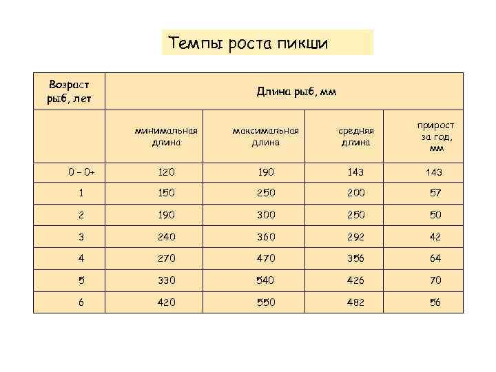 Темпы роста пикши Возраст рыб, лет Длина рыб, мм прирост за год, мм минимальная