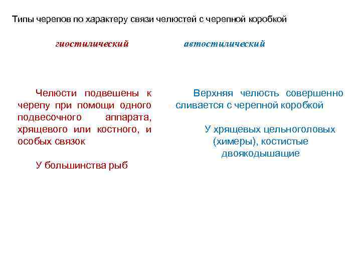 Типы черепов по характеру связи челюстей с черепной коробкой гиостилический Челюсти подвешены к черепу