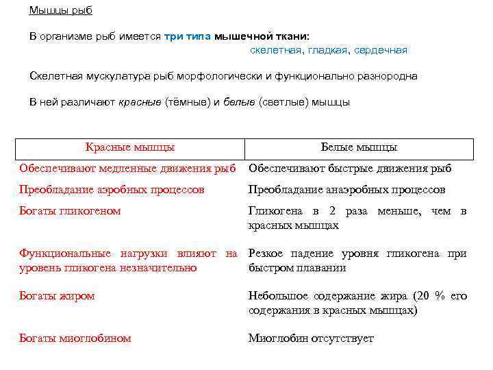 Мышцы рыб В организме рыб имеется три типа мышечной ткани: скелетная, гладкая, сердечная Скелетная