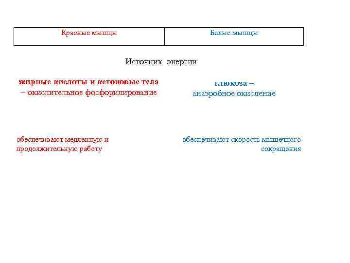 Красные мышцы Белые мышцы Источник энергии жирные кислоты и кетоновые тела – окислительное фосфорилирование