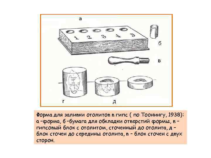 Форма для заливки отолитов в гипс ( по Тоонингу, 1938): а –форма, б –бумага