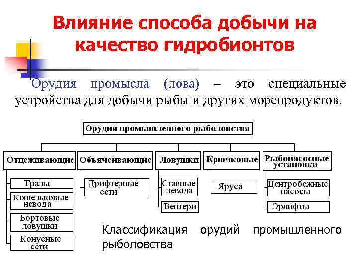 Влияние способа добычи на качество гидробионтов Орудия промысла (лова) – это специальные устройства для