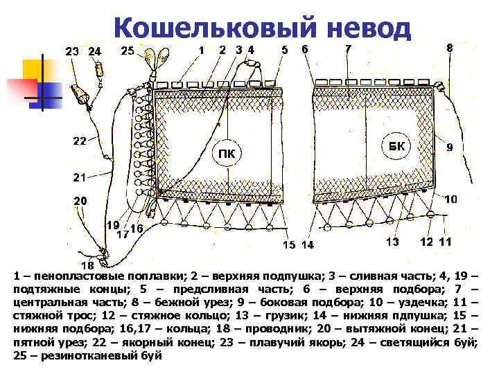 Кошельковый невод 1 – пенопластовые поплавки; 2 – верхняя подпушка; 3 – сливная часть;