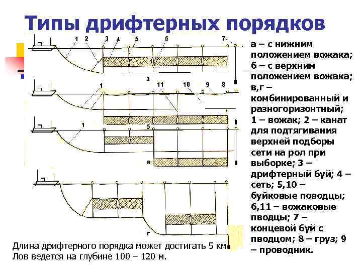 Типы дрифтерных порядков Длина дрифтерного порядка может достигать 5 км. Лов ведется на глубине