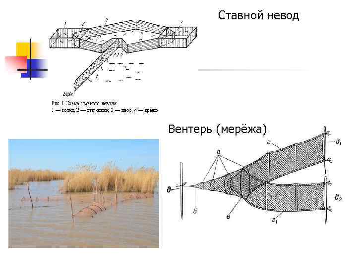 Ставной невод Вентерь (мерёжа) 