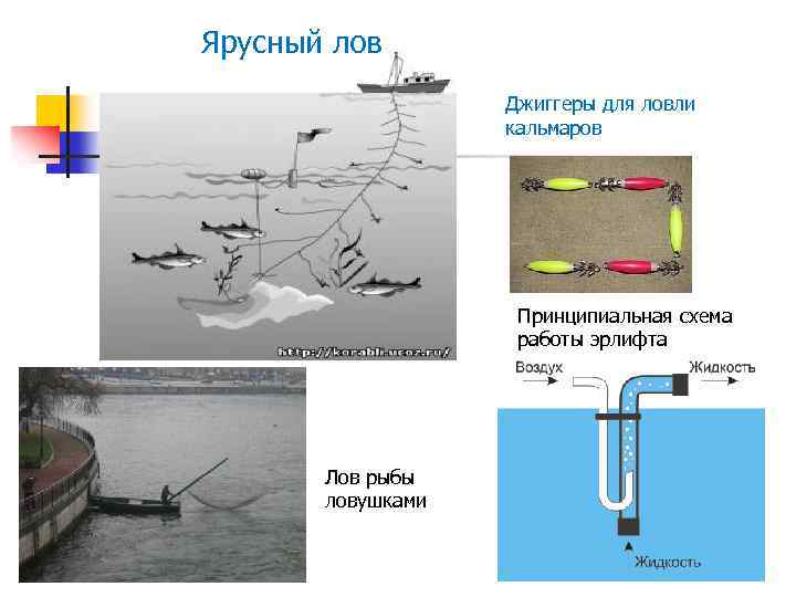 Ярусный лов Джиггеры для ловли кальмаров Принципиальная схема работы эрлифта Лов рыбы ловушками 