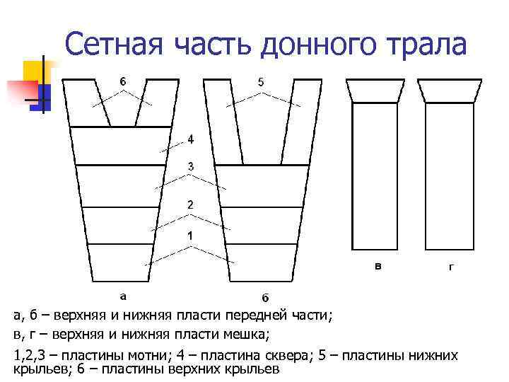 Сетная часть донного трала а, б – верхняя и нижняя пласти передней части; в,