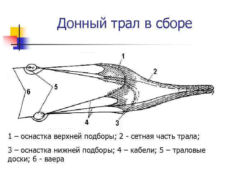 Донный трал в сборе 1 – оснастка верхней подборы; 2 - сетная часть трала;