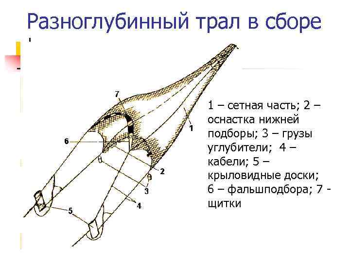 Разноглубинный трал в сборе 1 – сетная часть; 2 – оснастка нижней подборы; 3