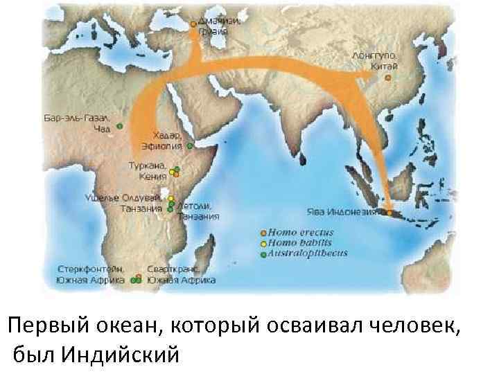 Расселение обитателей островов презентация