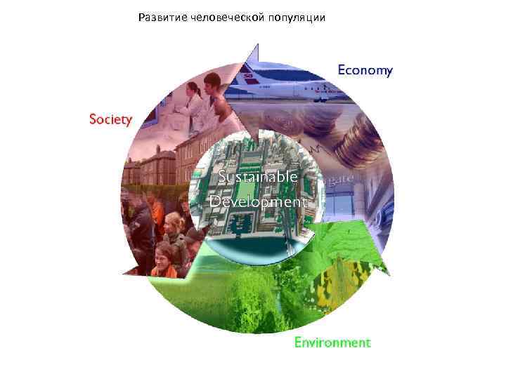 Развитие человеческой популяции 