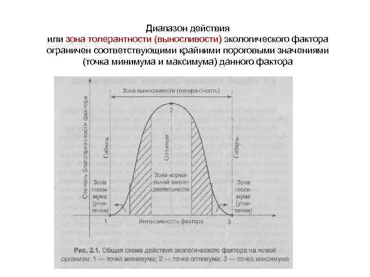 Диапазон действия или зона толерантности (выносливости) экологического фактора ограничен соответствующими крайними пороговыми значениями (точка