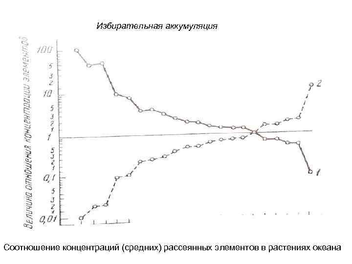 Избирательная аккумуляция Соотношение концентраций (средних) рассеянных элементов в растениях океана 