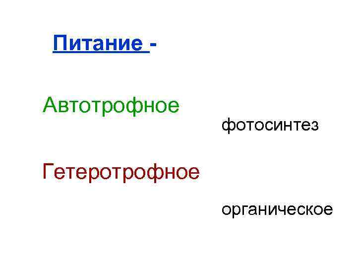 Питание - Автотрофное фотосинтез Гетеротрофное органическое 