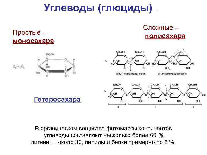 Углеводы (глюциды) – Простые – моносахара Сложные – полисахара Гетеросахара В органическом веществе фитомассы