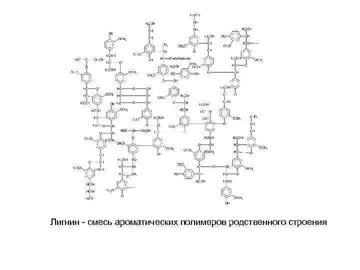 Лигнин - смесь ароматических полимеров родственного строения 