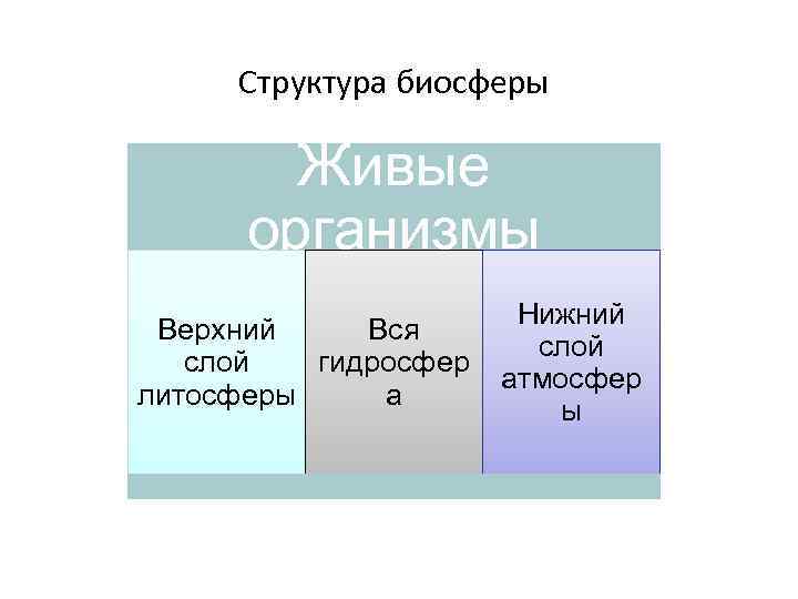 Структура биосферы Живые организмы Верхний Вся слой гидросфер литосферы а Нижний слой атмосфер ы