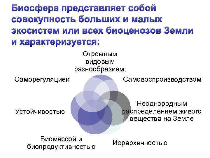 Биосфера представляет собой совокупность больших и малых экосистем или всех биоценозов Земли и характеризуется: