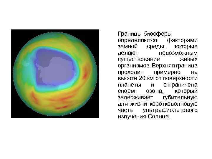 Границы биосферы определяются факторами земной среды, которые делают невозможным существование живых организмов. Верхняя граница