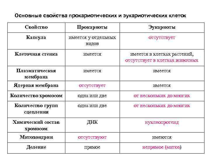 Основные свойства прокариотических и эукариотических клеток Свойство Прокариоты Эукариоты Капсула имеется у отдельных видов