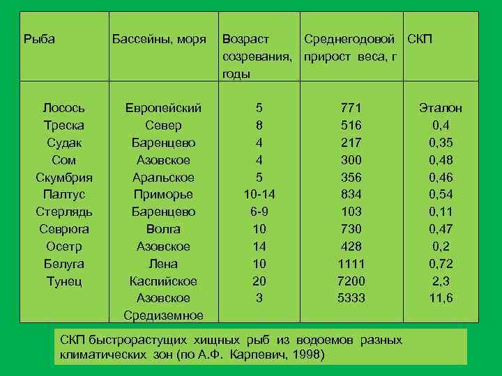 Рыба Бассейны, моря Лосось Треска Судак Сом Скумбрия Палтус Стерлядь Севрюга Осетр Белуга Тунец