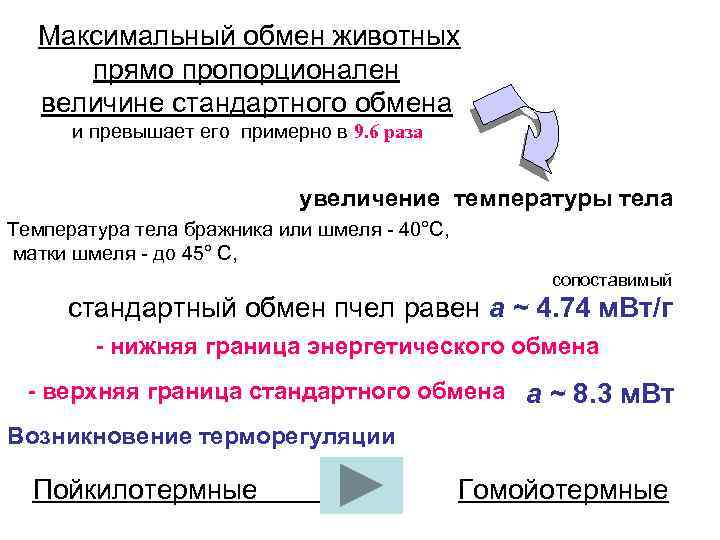 Максимальный обмен животных прямо пропорционален величине стандартного обмена и превышает его примерно в 9.