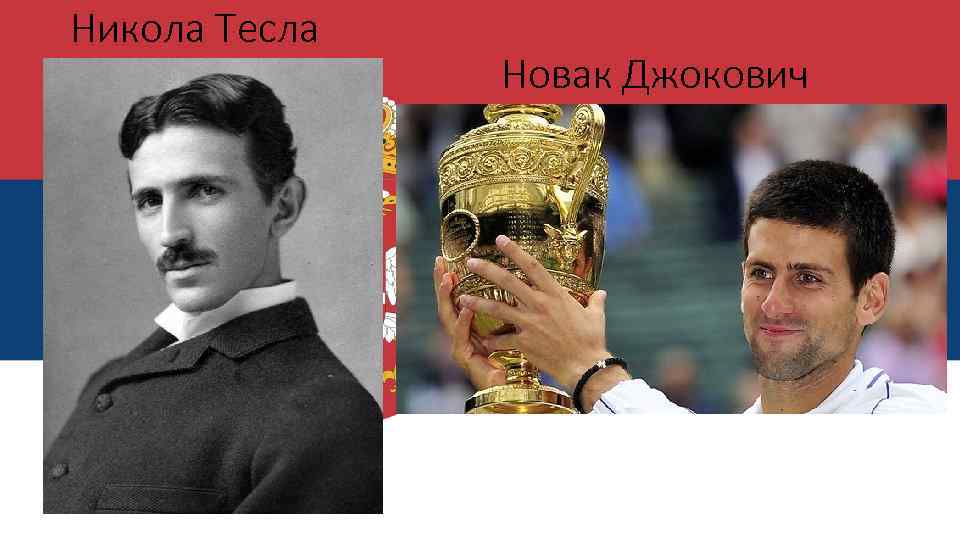 Никола Тесла Новак Джокович 