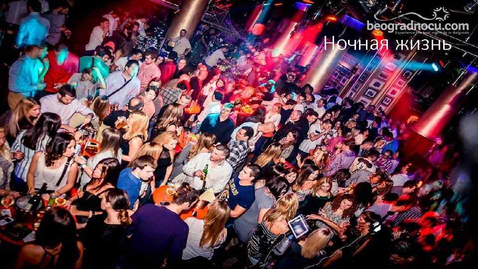 Ночная жизнь 