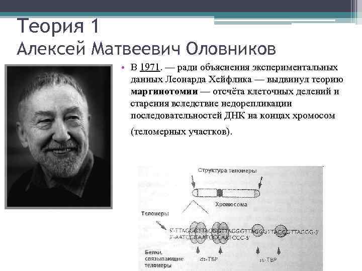 Теория 1 Алексей Матвеевич Оловников • В 1971. — ради объяснения экспериментальных данных Леонарда
