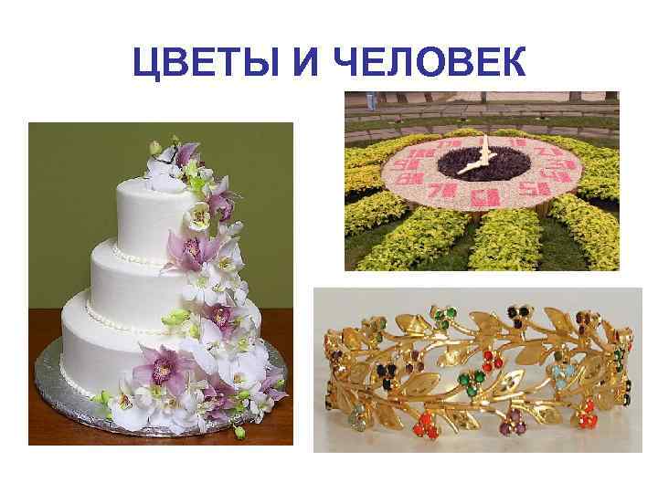 ЦВЕТЫ И ЧЕЛОВЕК 