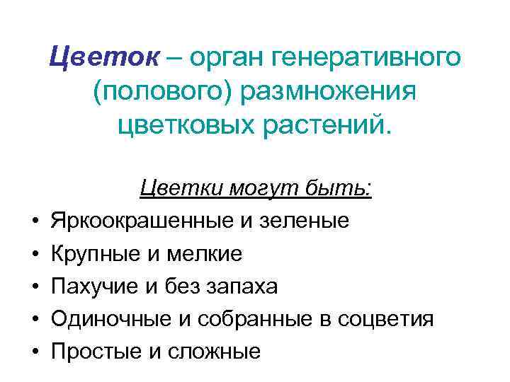 Цветок – орган генеративного (полового) размножения цветковых растений. • • • Цветки могут быть: