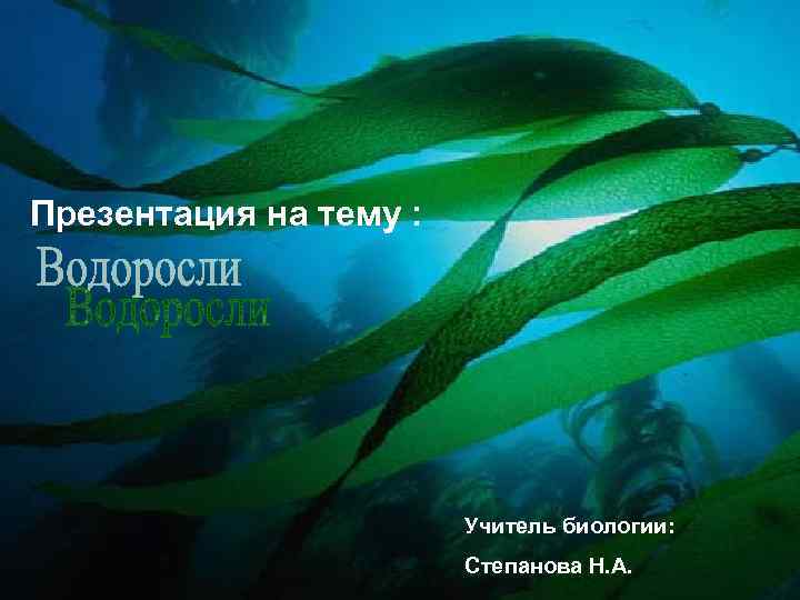 Презентация на тему : Учитель биологии: Степанова Н. А. 