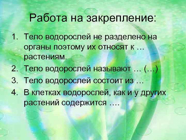 Работа на закрепление: 1. Тело водорослей не разделено на органы поэтому их относят к