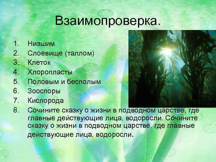 Взаимопроверка. 1. 2. 3. 4. 5. 6. 7. 8. Низшим Слоевище (таллом) Клеток Хлоропласты