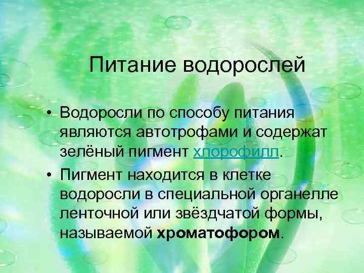 Питание водорослей • Водоросли по способу питания являются автотрофами и содержат зелёный пигмент хлорофилл.