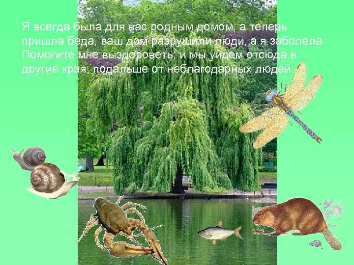 Я всегда была для вас родным домом, а теперь пришла беда, ваш дом разрушили