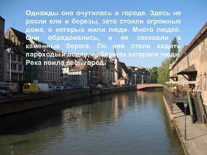 Однажды она очутилась в городе. Здесь не росли ели и березы, зато стояли огромные