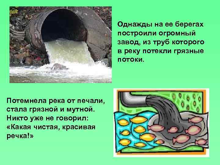 Однажды на ее берегах построили огромный завод, из труб которого в реку потекли грязные