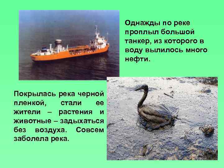 Однажды по реке проплыл большой танкер, из которого в воду вылилось много нефти. Покрылась