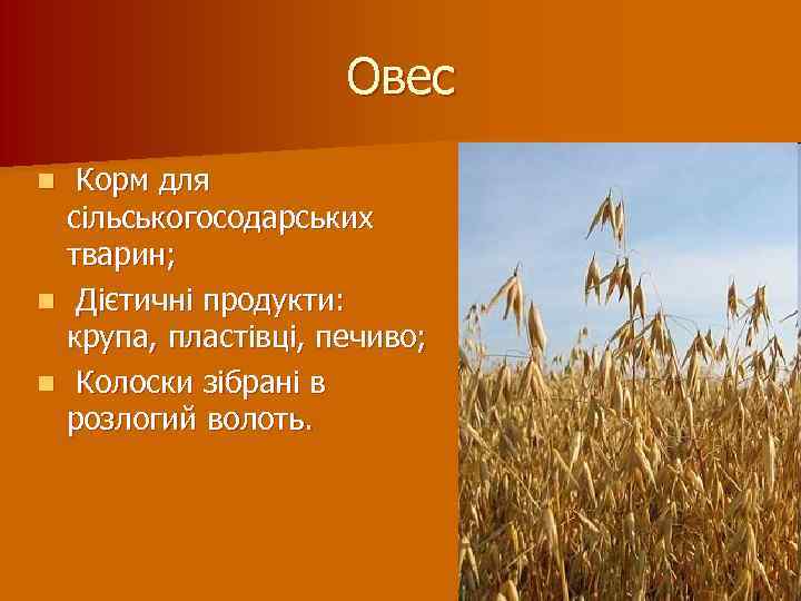 Овес Корм для сільськогосодарських тварин; n Дієтичні продукти: крупа, пластівці, печиво; n Колоски зібрані